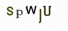Visual Confirmation Security Code